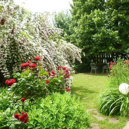 ゲストハウス Maison D'hotes Le Jardin *