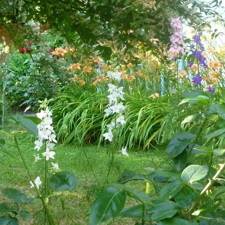 Maison D'hotes Le Jardin Maison d'hôtes *